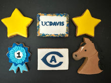 Load image into Gallery viewer, College Cookies
