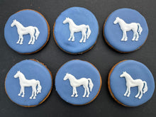 Load image into Gallery viewer, Desert International Horse Park
