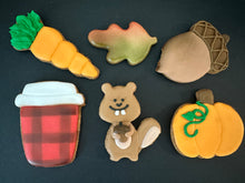 Load image into Gallery viewer, Fall Squirrel Pack
